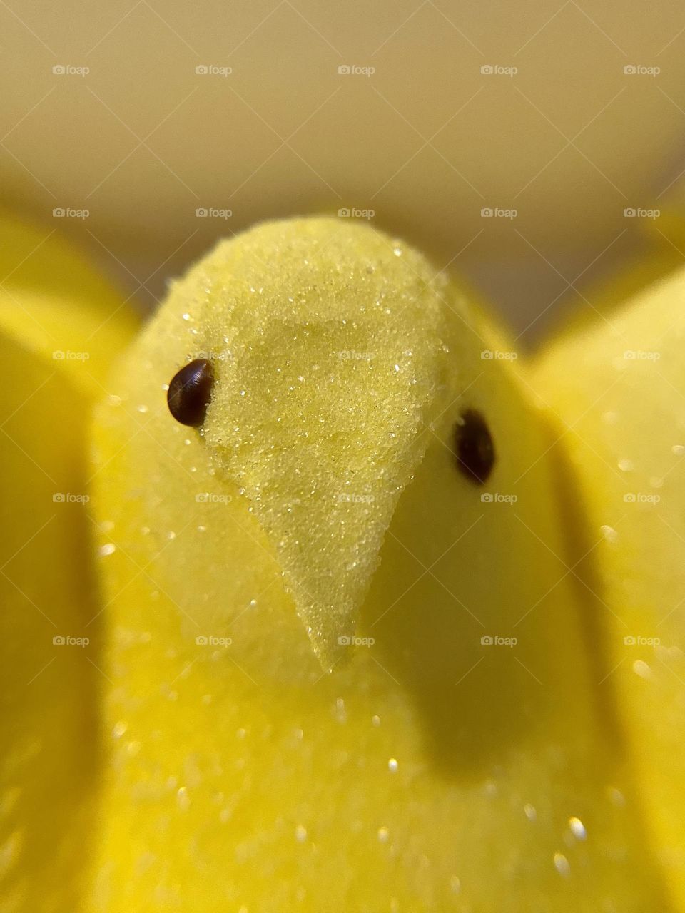 Close-up of a marshmallow Peep