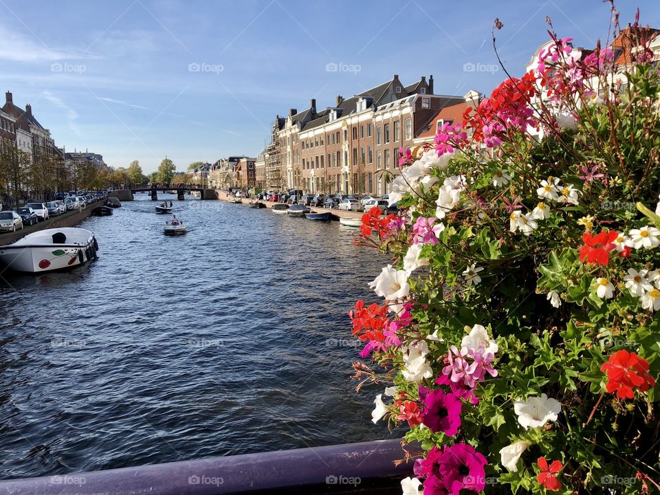 Beautiful View in Haarlem, Netherlands
