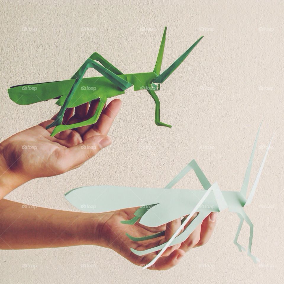 Grasshoppers for kids . Handcrafted grasshoppers paper for kids 