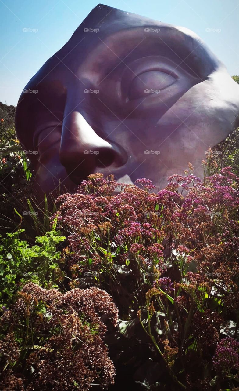 Dancing your face off