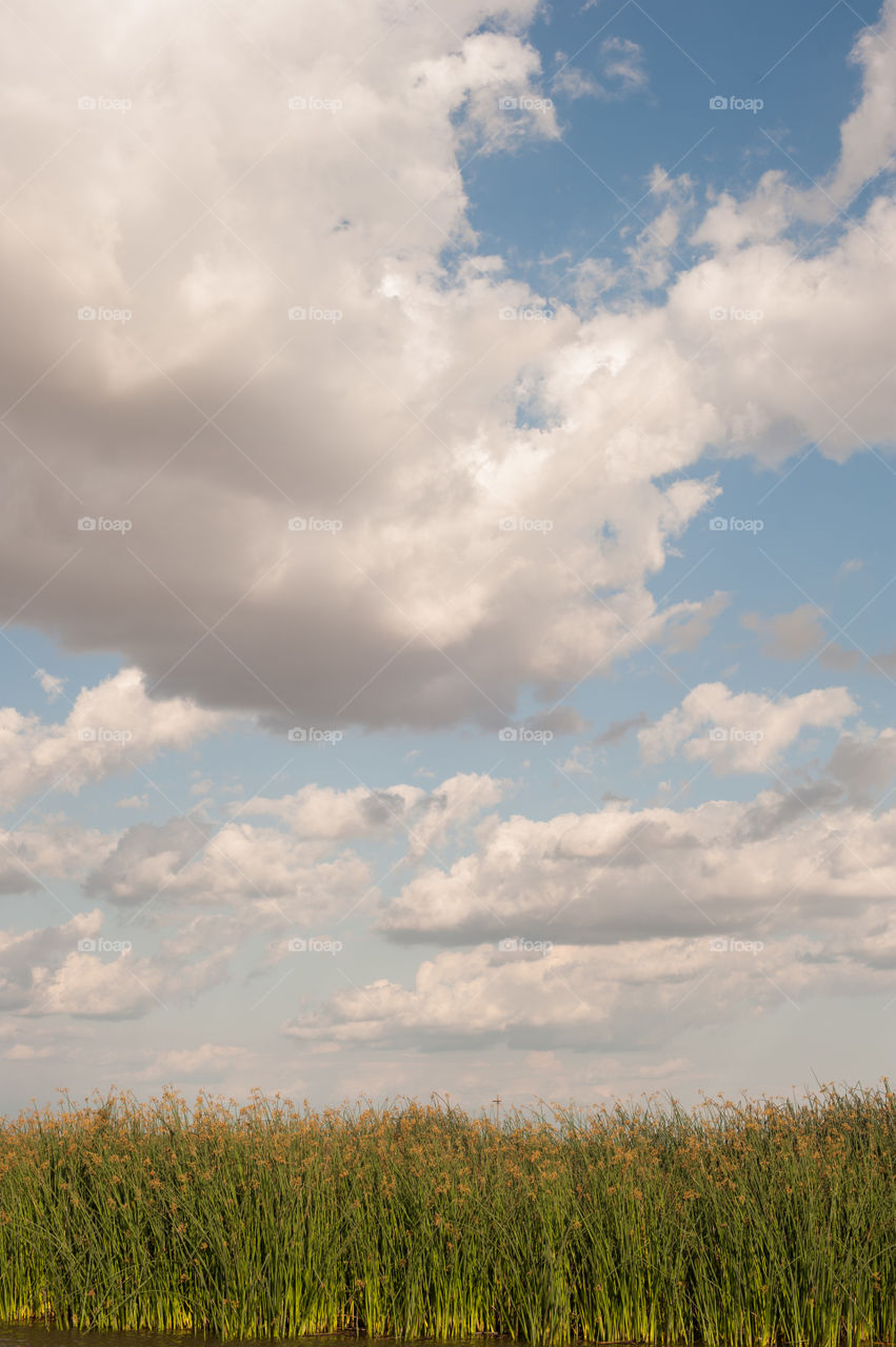 Breeze and Clouds. MERCED