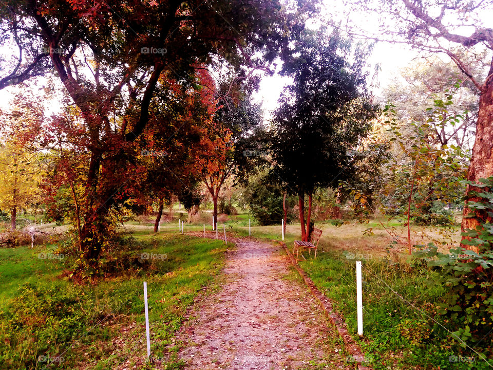 Lovely Autumn

Islamabad Club Walking Track, Islamabad, Pakistan.