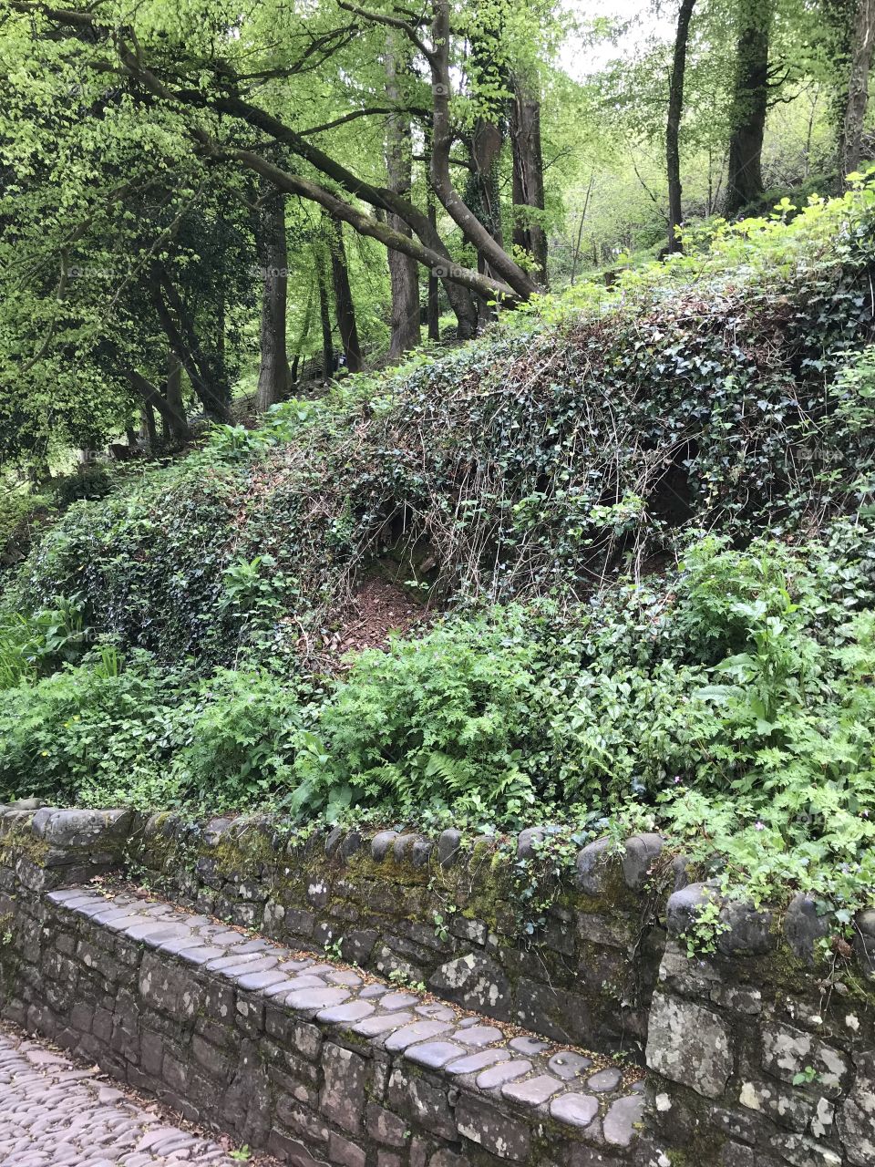 An original seating place, but whilst authentic perhaps somewhat uncomfortable, but the country surroundings are lovely.