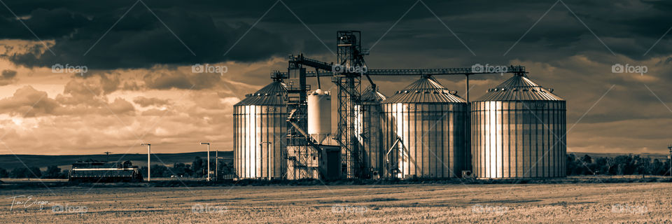 Farm silos glow in the last bit of warm summer daylight, Northwest Nebraska, USA.  