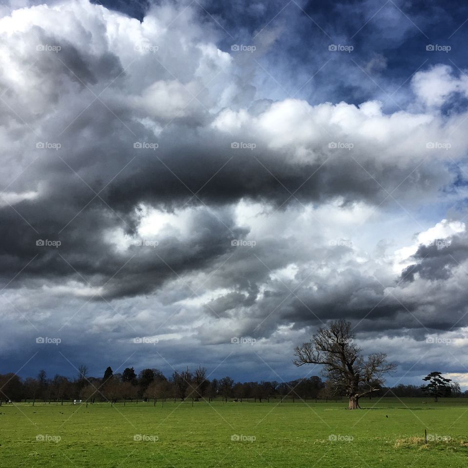 Stormy skies over field of green
