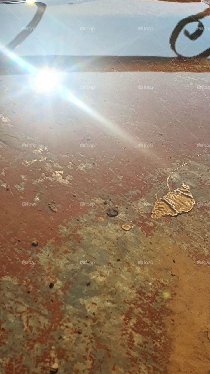 When light is reflected