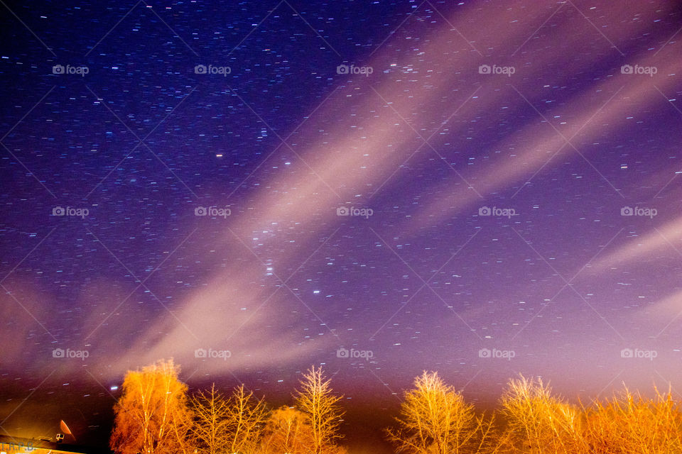 starlit sky on a cold winter's night