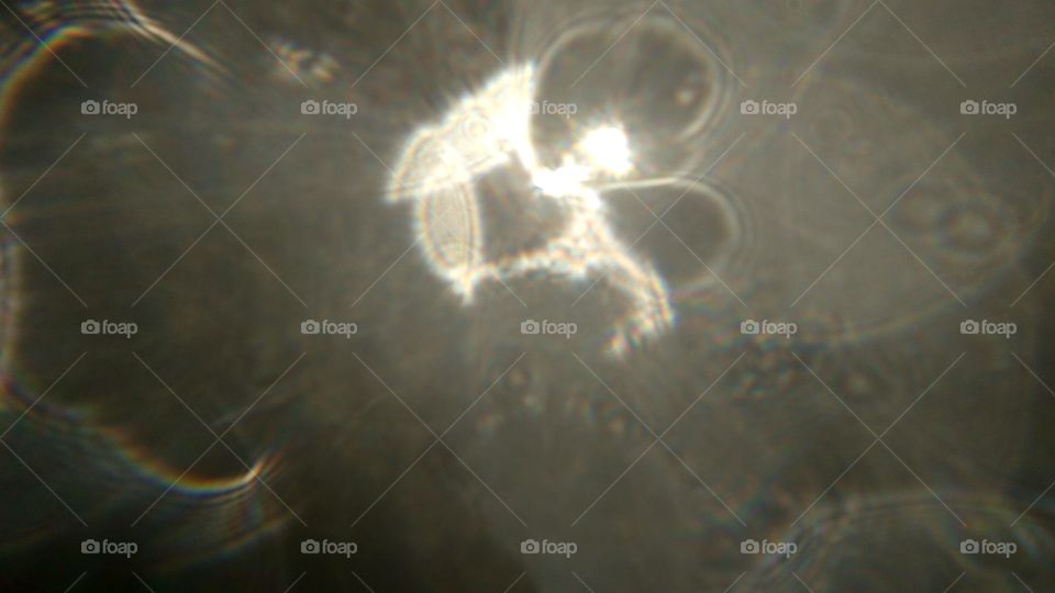 Rainey in sun capture