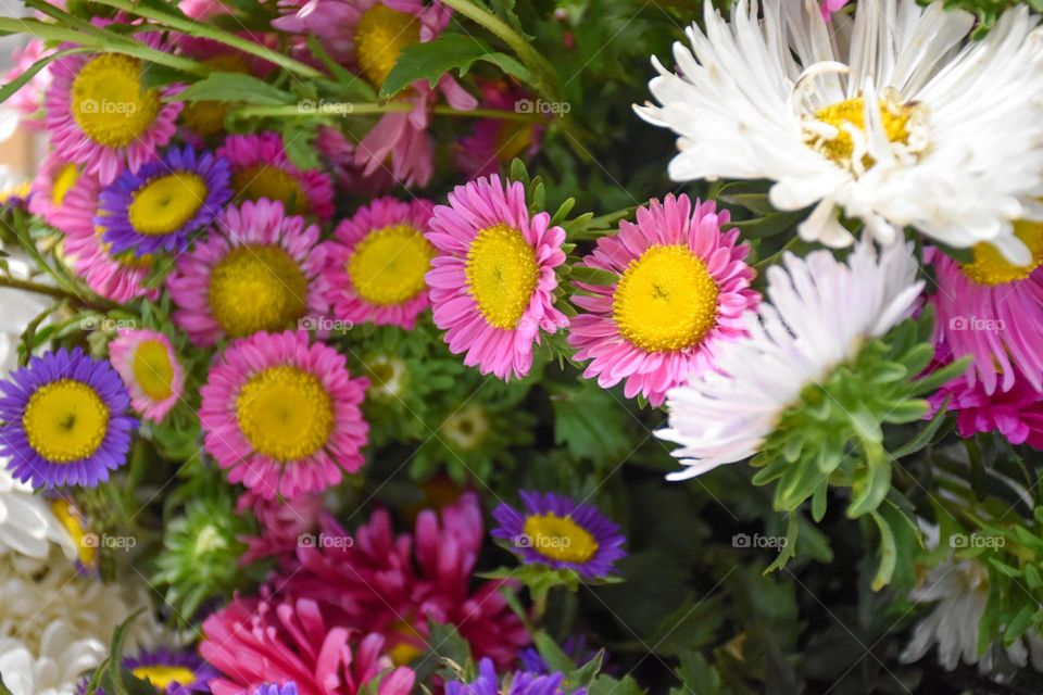 06. colorful flowers that inspire joy