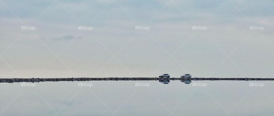 The car is moving on the marsh