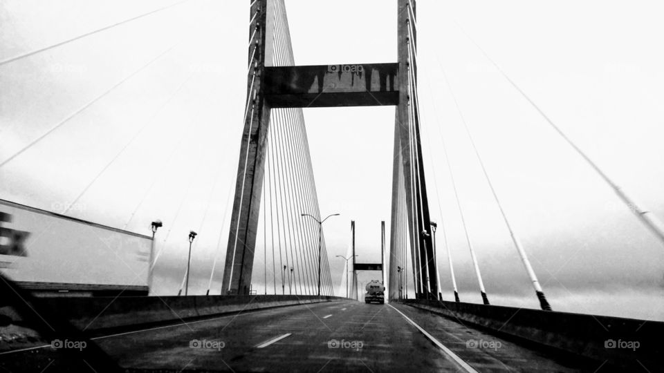 Black and white suspension bridge
