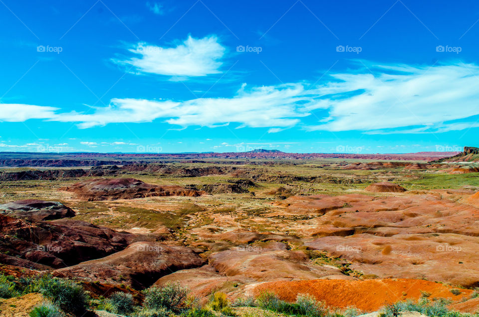 Painted Desert 8