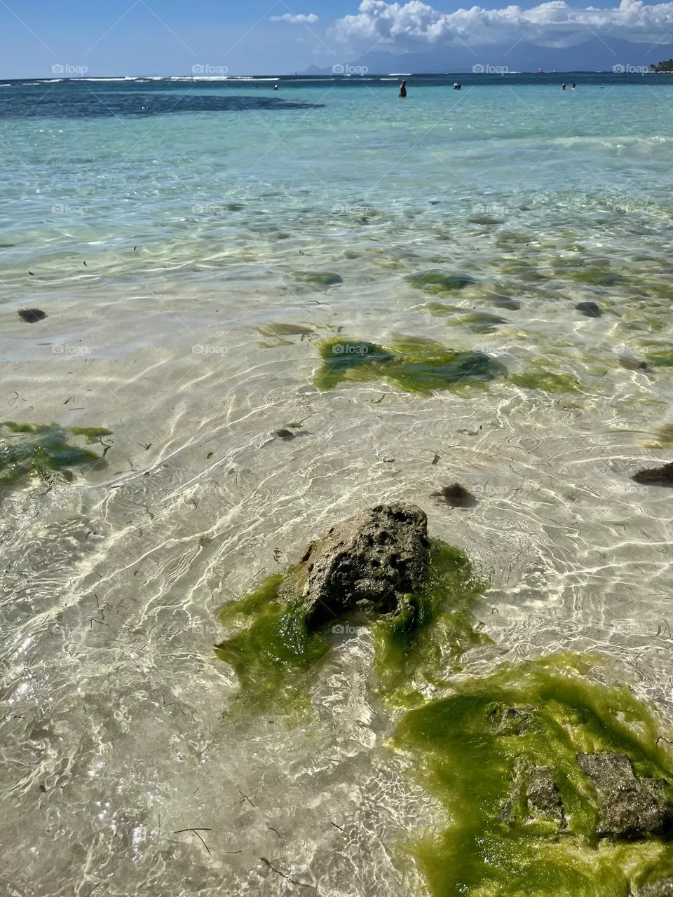 Caribbean beach 
