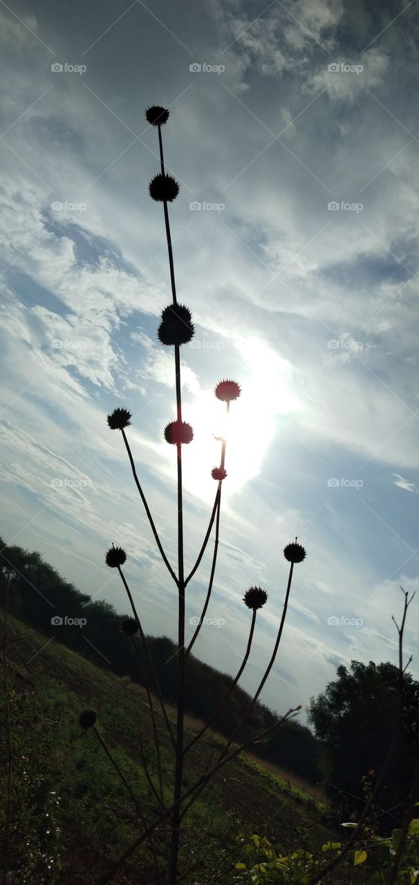 mobile click rate fast plz comment if u like it