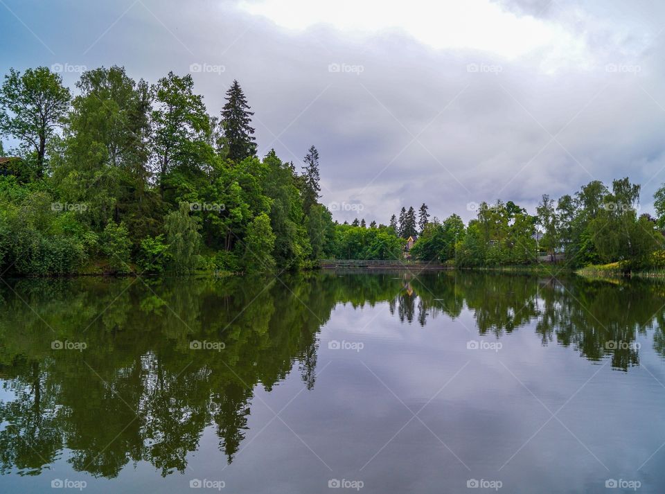 Green trees reflecting in lake