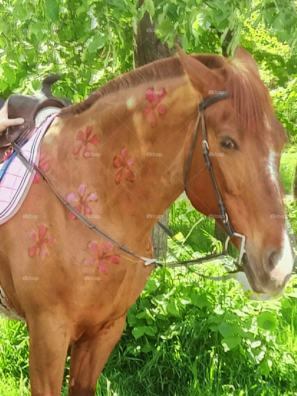 Лошадка в цветочек