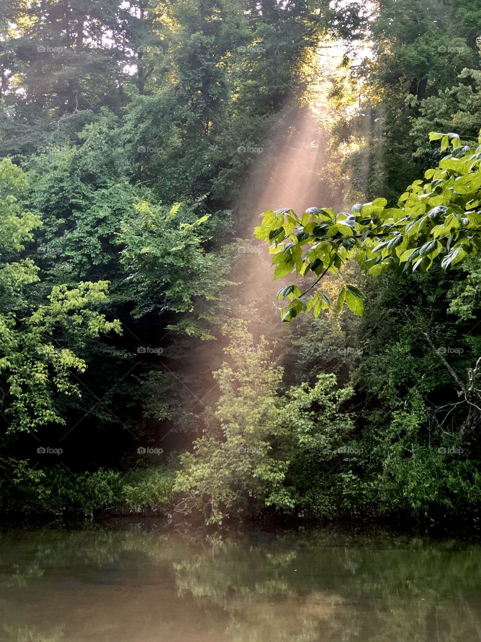 Alone at sunrise on Bluewater Creek 