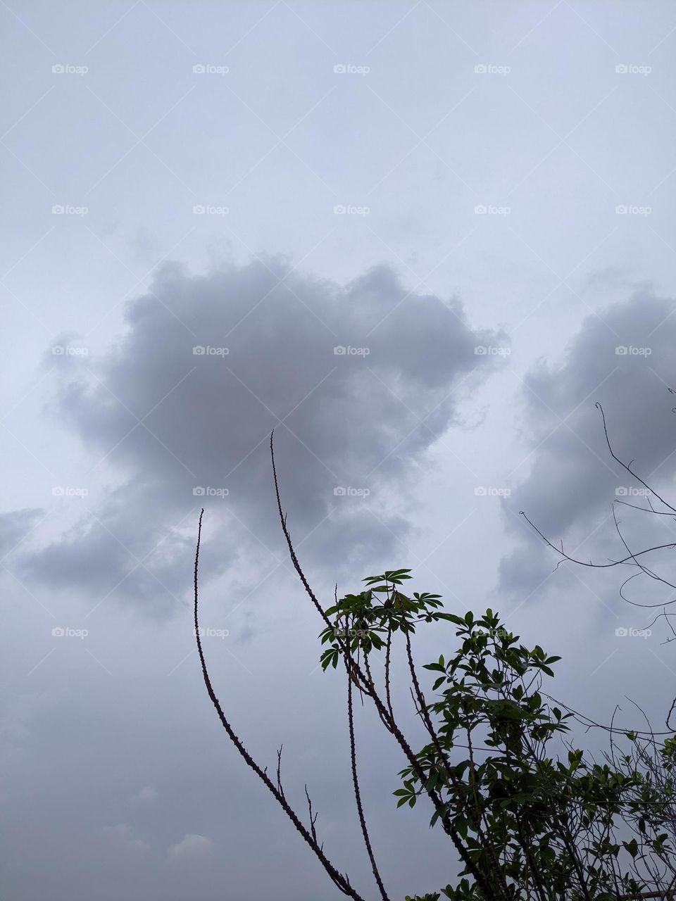 dark sky and black clouds.☁