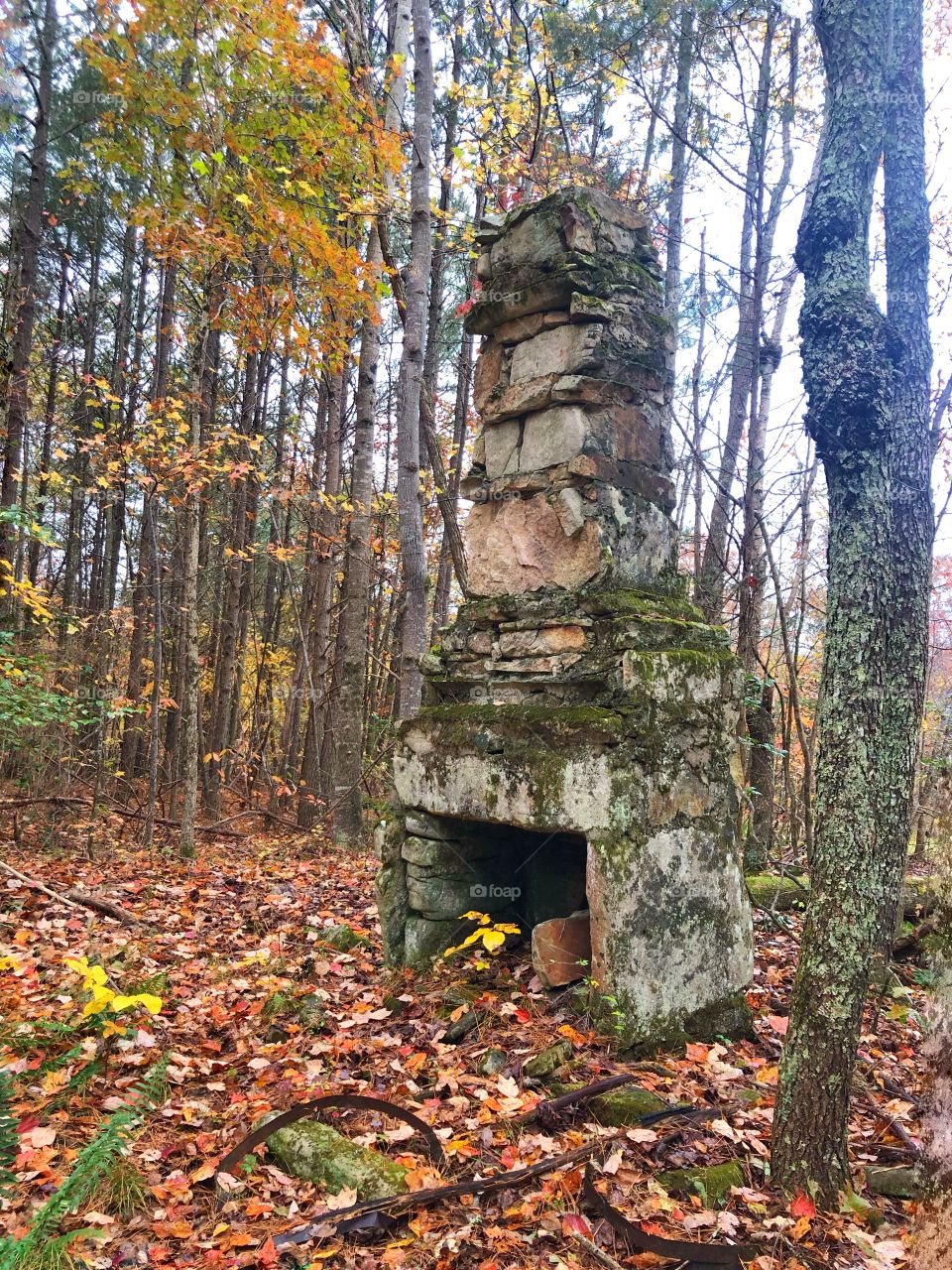 Remains of cabin stone fireplace 