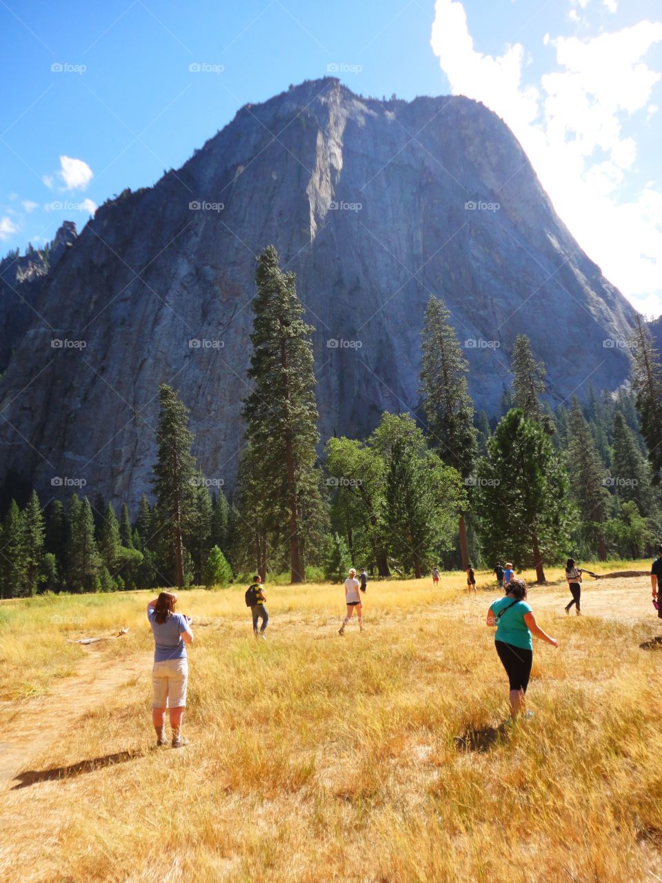 There is plenty of yellow and plenty of blue, but it's not a beach. It's a beautiful landscape of Yosemite National Park. 

Don't stay at home! The world is waiting to be explored!