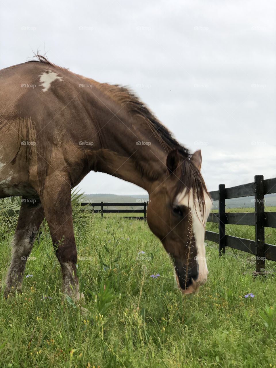 Rio Grande do Sul, Brazil