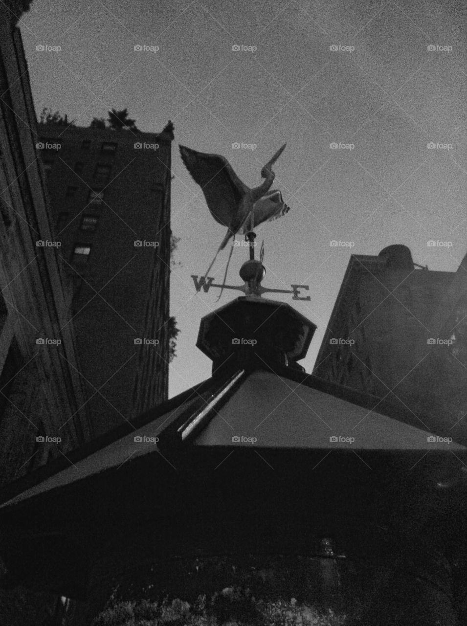 New York City Weathervane. Lovely stork weathervane rises on the Upper West side of Manhattan