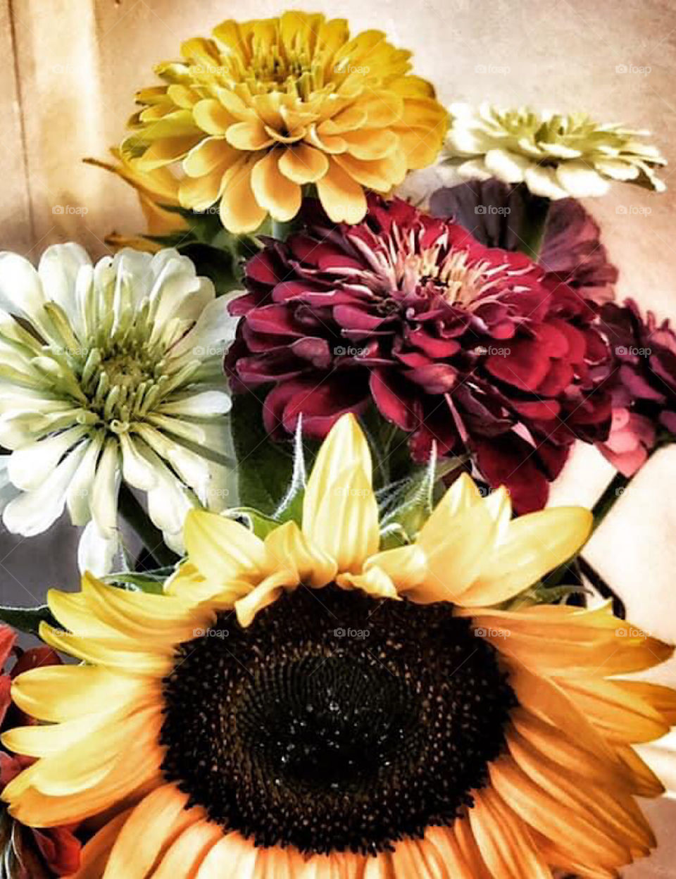 Fresh picked summer flowers sunflower  and zinnias 
