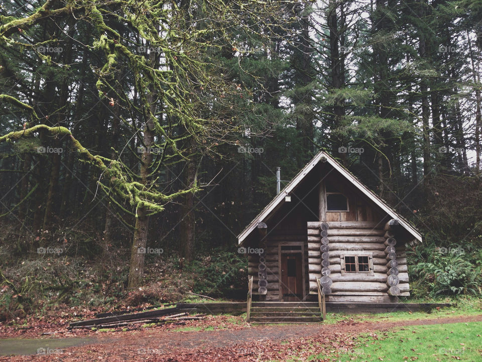 Rustic Cabin in The Woods
