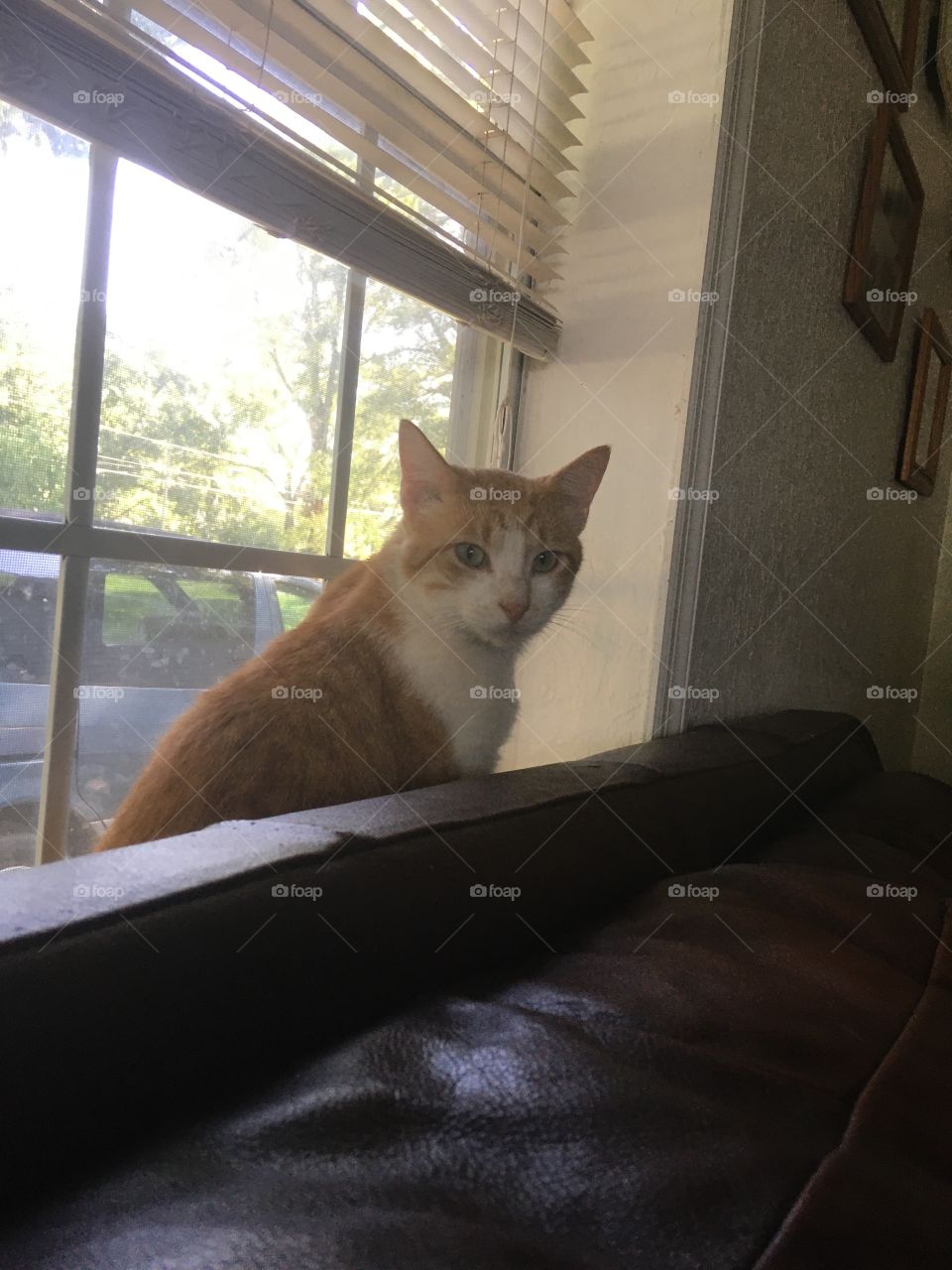 Did someone say it was Saturday? Well hello you guys! I’m not getting up if coffee isn’t ready.