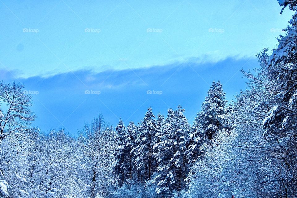 Thw first day after the snowfall❄️