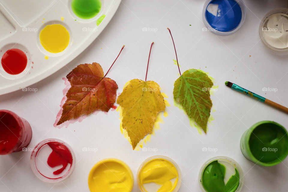 High angle view of painting autumn leaf