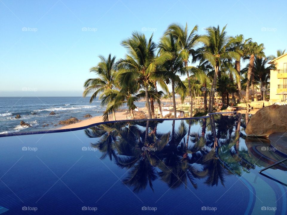 Beach, Palm, Travel, Resort, Tropical