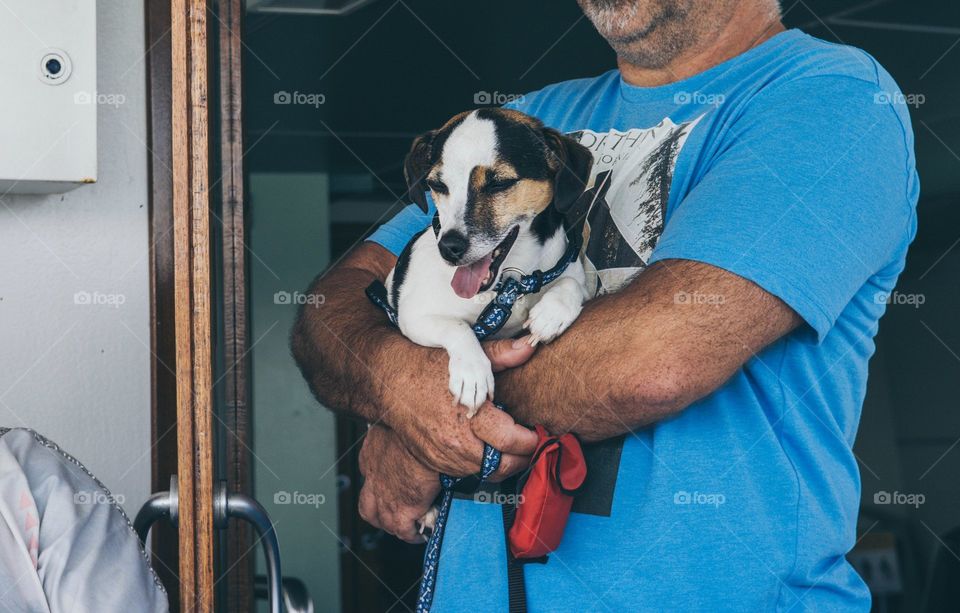 A puppy is happy sitting on his owner hands