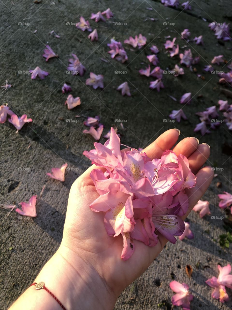 Handful of flowers