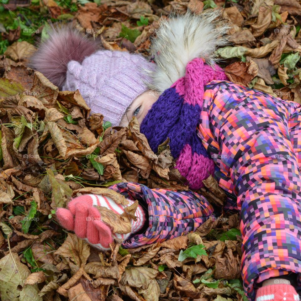 Nature, Fall, Leaf, No Person, People