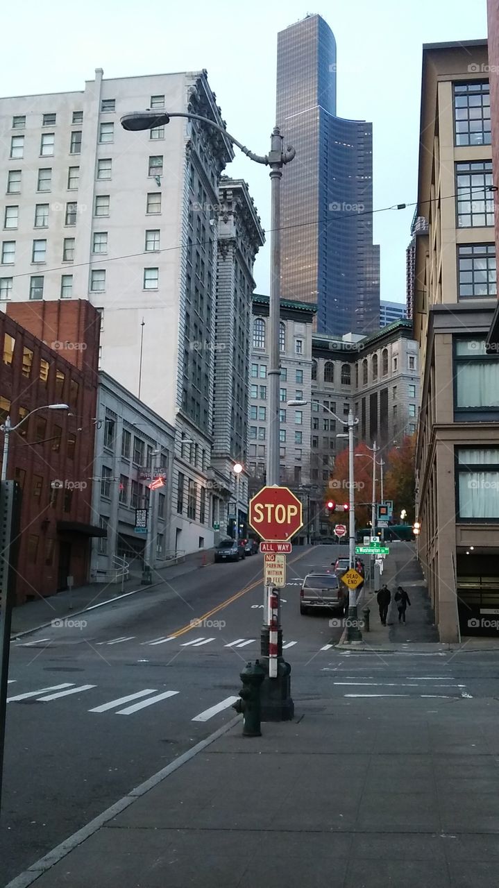 Seattle's Tallest Buildings