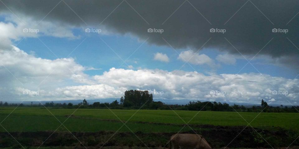 low resolution in motion rural area pic