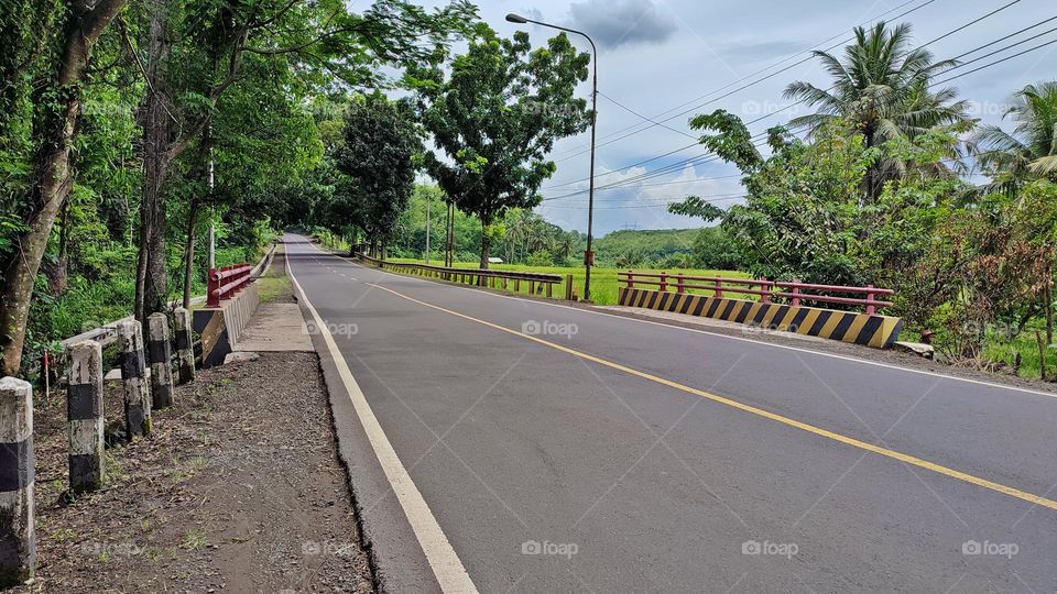 a lonely road through a teak forest