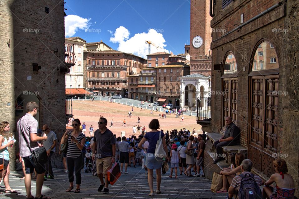 Piazza del Campo. Piazza del Campo