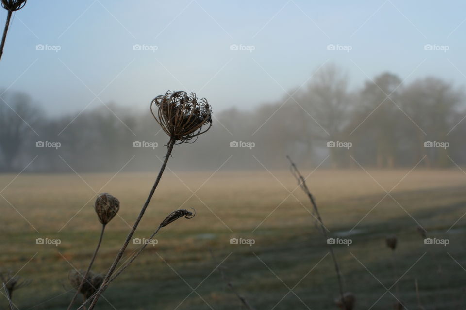 Editor’s Choice: Photo of The Week