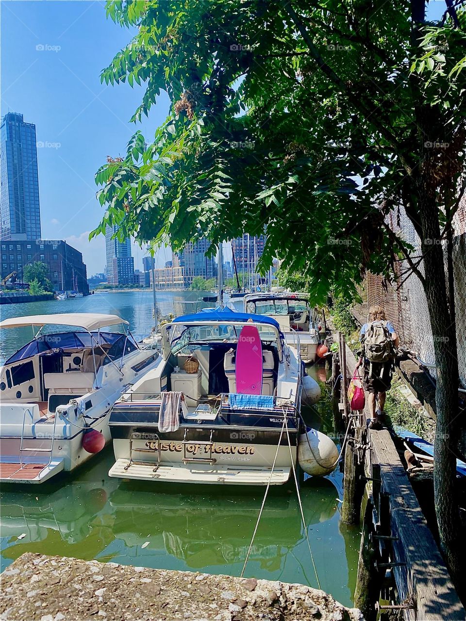 The tree lined wall along the bulkhead that leads to our boat at „Newtown Creek“ in LIC, Queens gets traveled several times a week but especially when the necessity arises to purchase groceries. 2023. Hypnotic Productions