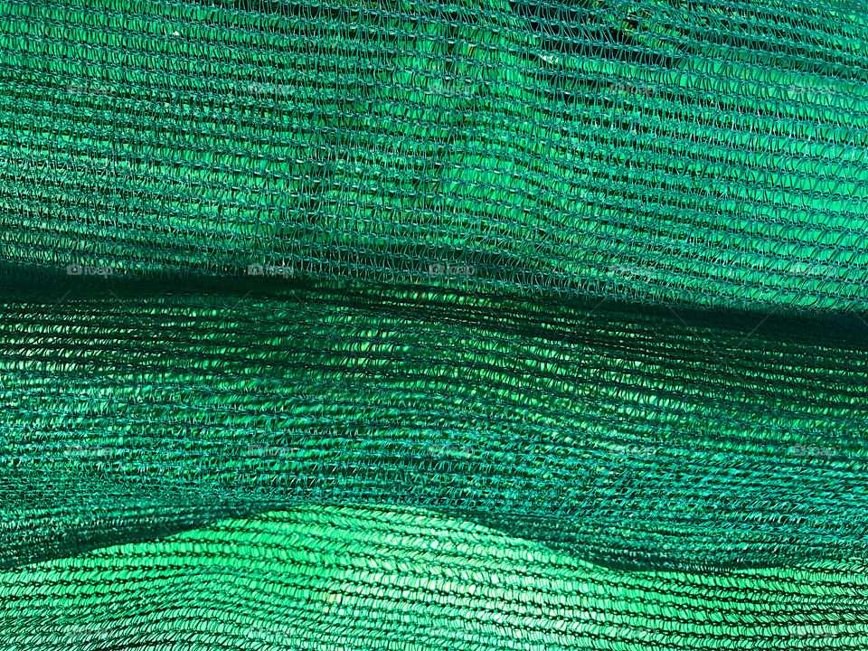 Close-up of green net