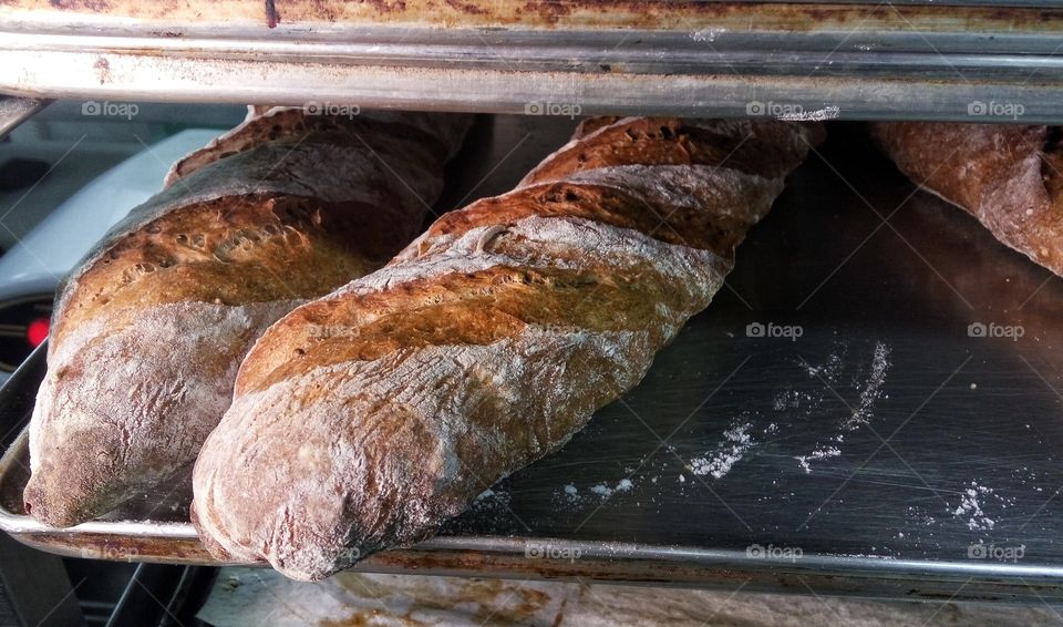 close up bread