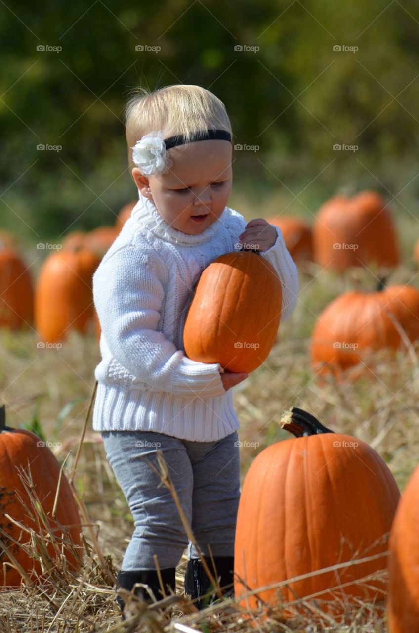 Fall, Pumpkin, Halloween, Child, Thanksgiving