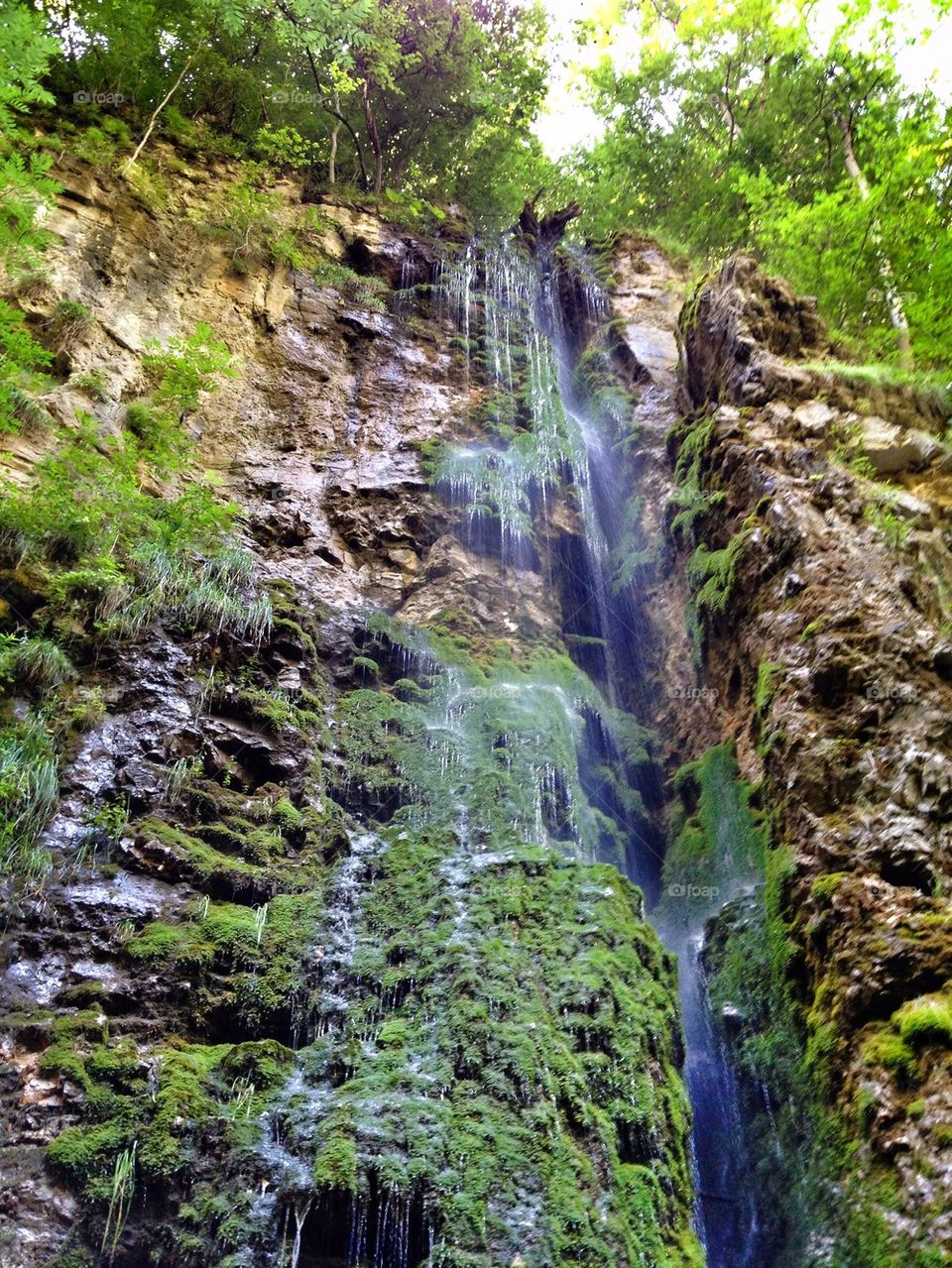 Waterfall in forest