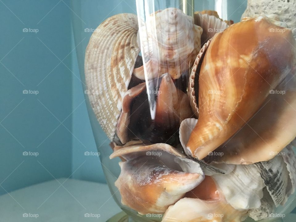 Seashells in glass. 