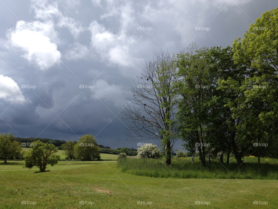sweden tree cloud tomelilla by jesja782