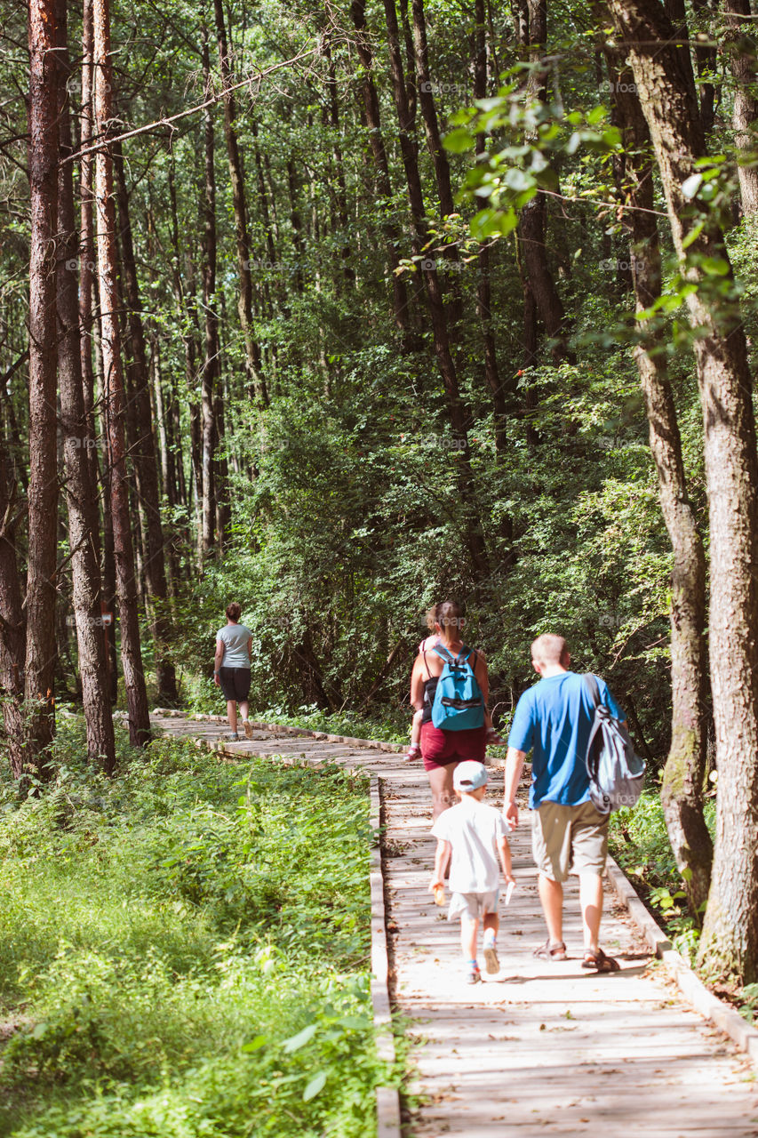 Family going a path in forest. Mother, father, boy and girl spending time together, vacations close to nature