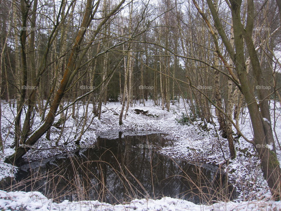 Cold Pond