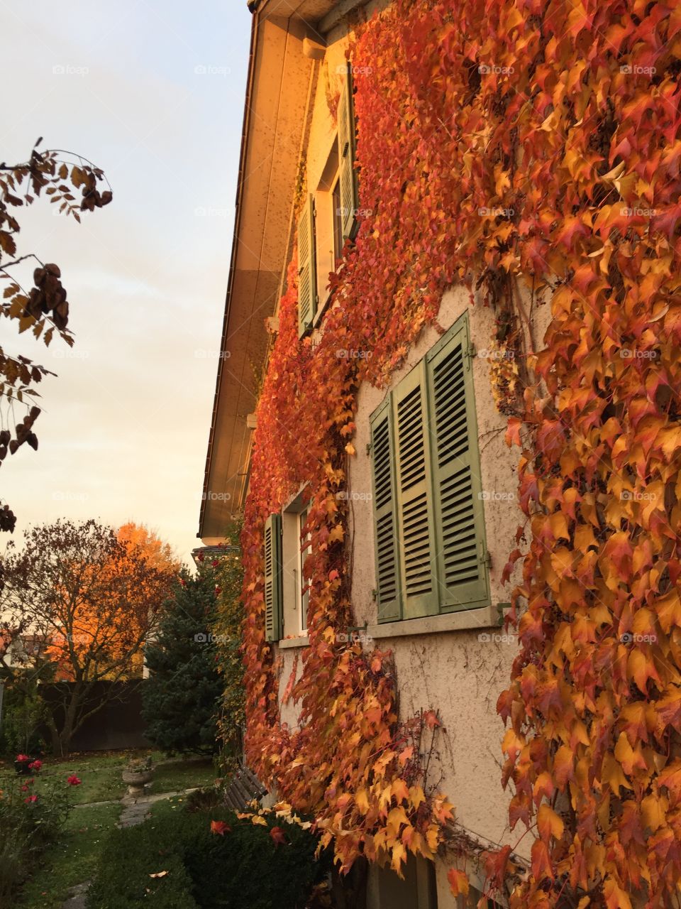No Person, Architecture, Fall, House, Leaf